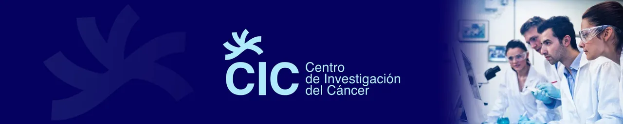 Banner web con el logotipo sobre azul
